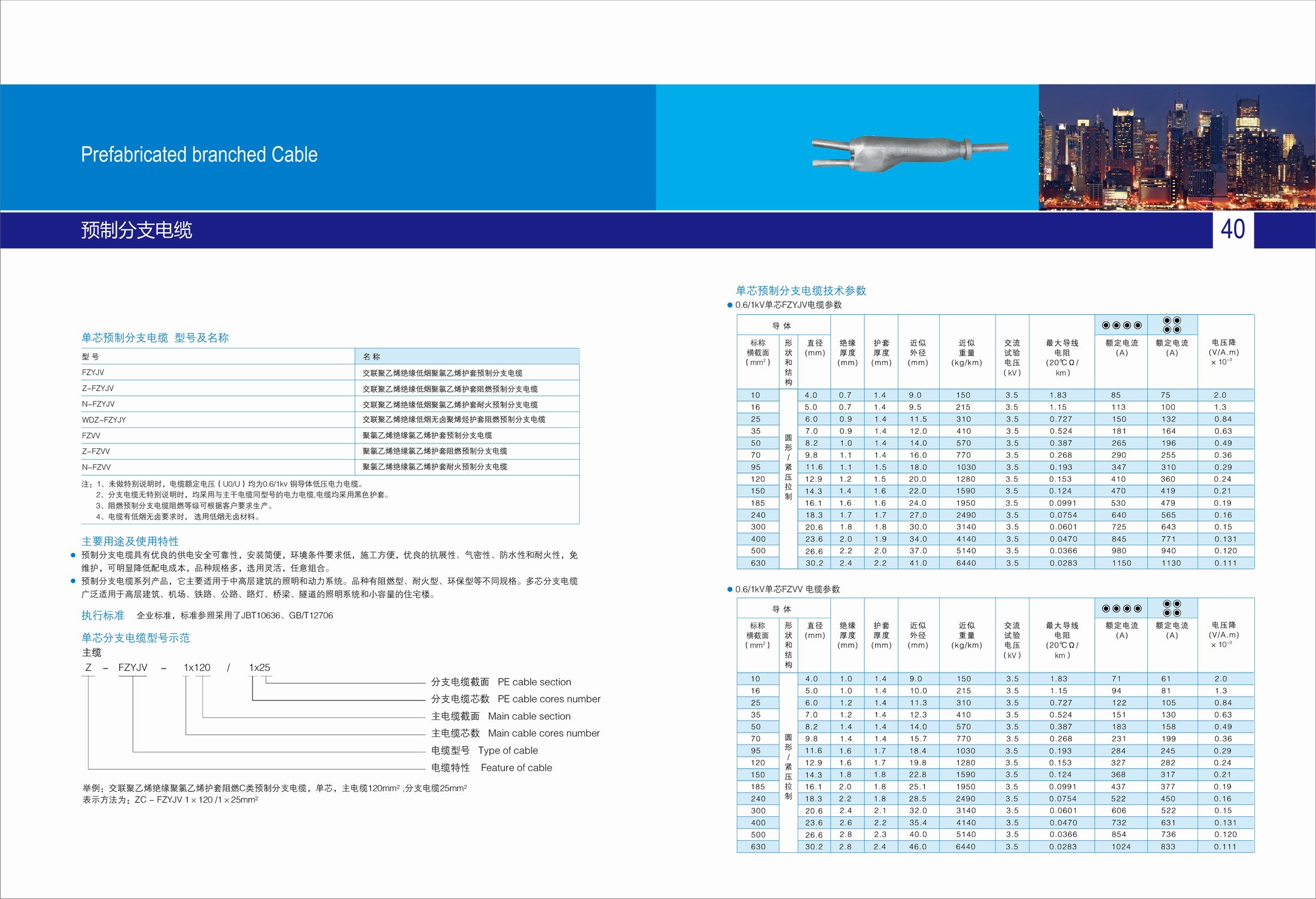 預分支電纜2.jpg 預分支電纜(圖2)