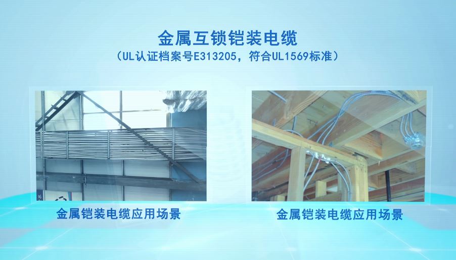 銅芯內連鎖鎧裝MC電纜5.jpg 銅芯內連鎖鎧裝MC電纜(圖5)