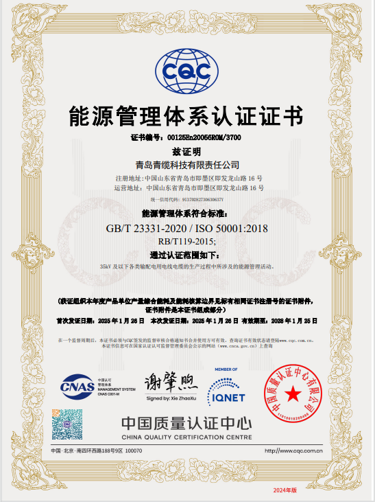能源管理體系認(rèn)證證書(shū)(圖1)