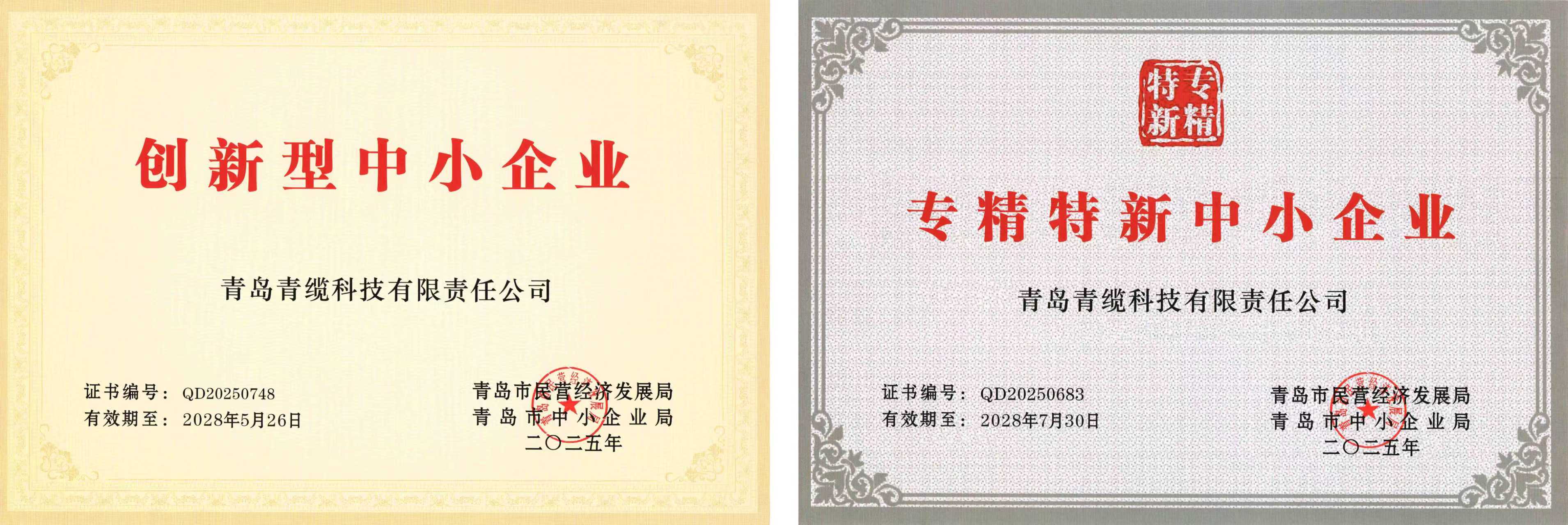 青纜獲評“創新型中小企業”并順利通過“專精特新中小企業”復評(圖1)